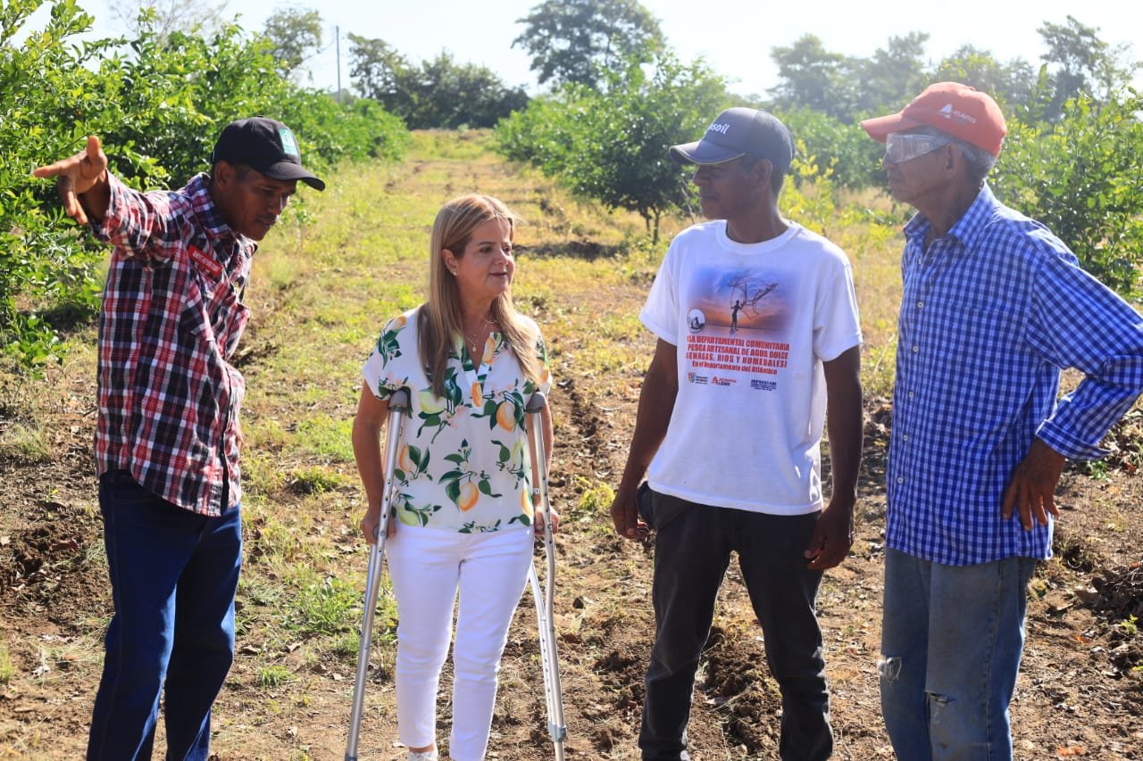 Atlantico_agroindustria__limon_tahiti_desarrollo_del_campo_en_Repelon